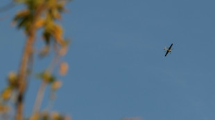 Russland meldet Abschuss von 221 ukrainischen Drohnen in der Nacht