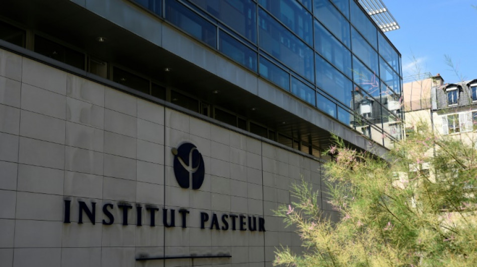 Les infections caus&eacute;es par les champignons, une menace croissante