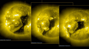Spacecraft to probe how Earth fends off raging solar winds

