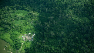 Amazonie brésilienne: remonter la trace d'indigènes isolés pour protéger la forêt