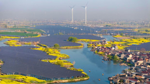 La Chine annonce que sa capacité en énergie éolienne et solaire dépasse pour la première fois le thermique