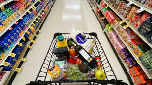 US retail sales little changed, signs of pullback after pre-tariff rush