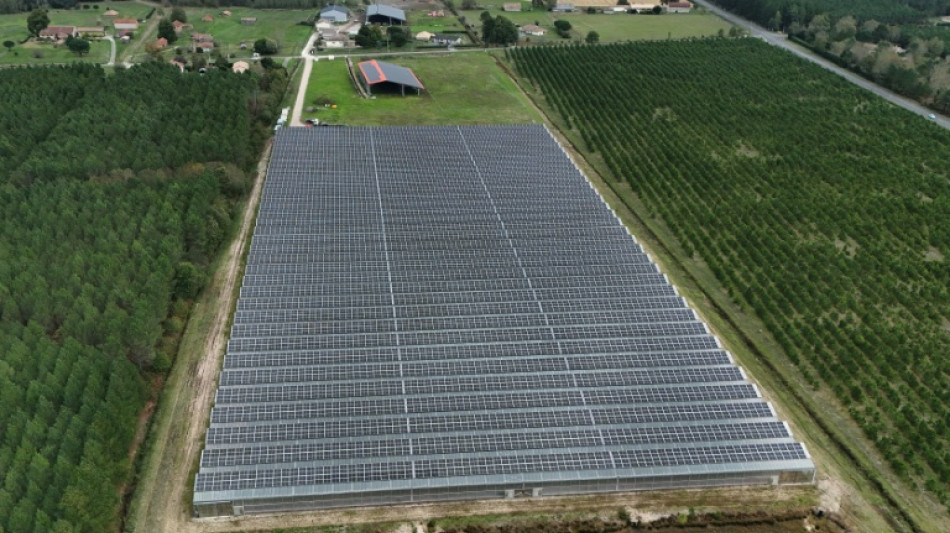 L'agrivolta&iuml;sme, "eldorado" rural ou "bulle" potentielle ?