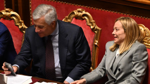 Meloni, non ci sono italiani coinvolti in attacchi a basi Usa