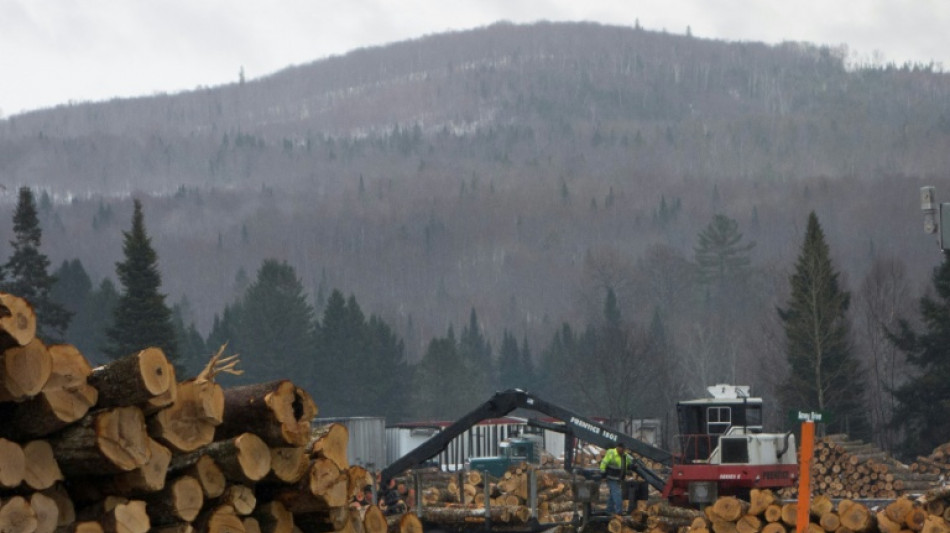 Le bois de construction et l'ameublement, nouvelles cibles des droits de douane de Donald Trump