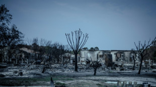 El primer ministro franc&eacute;s anuncia ayudas a afectados por megaincendio tras abucheos