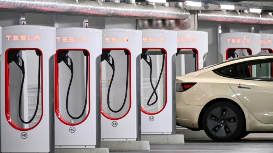 Mutma&szlig;licher Anschlag in Brandenburg: Tesla-Produktion lahmgelegt