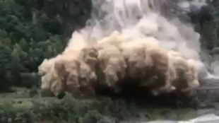 Trafic ferroviaire et routier tr&egrave;s perturb&eacute; entre France et Italie apr&egrave;s un &eacute;boulement en Savoie 