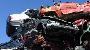 Umweltminister Schneider für mehr Recycling-Vorgaben für Autos