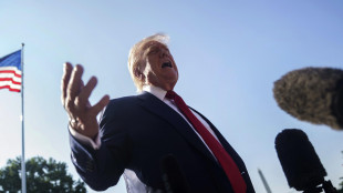 Trump a Ue, 'fermate le pale eoliche, state rovinando i Paesi'