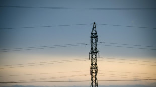 Los pa&iacute;ses b&aacute;lticos se desconectan de la red el&eacute;ctrica rusa para evitar "chantajes"