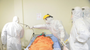 Guin&eacute;e &eacute;quatoriale: 11 morts dues au virus de Marburg, selon un nouveau bilan