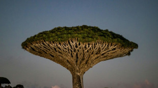 Oeneg&eacute;s instan a donar 60.000 millones de d&oacute;lares a pa&iacute;ses pobres para conservar biodiversidad