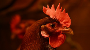 Legehennenstall mit tausenden Tieren brennt in Niedersachsen