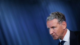 Institut der deutschen Wirtschaft verurteilt H&ouml;cke-&Auml;u&szlig;erung zu Behinderungen