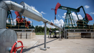 Il petrolio in rialzo a New York a 66,80 dollari