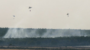 Les incendies ont d&eacute;vast&eacute; 30.000 hectares suppl&eacute;mentaires en 24 heures en Espagne