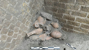 Novas evid&ecirc;ncias sugerem que Pompeia foi reocupada ap&oacute;s erup&ccedil;&atilde;o do Ves&uacute;vio