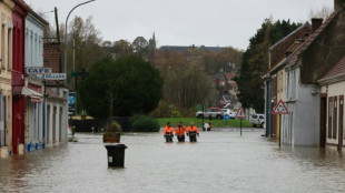 La contribuci&oacute;n clim&aacute;tica de los pa&iacute;ses ricos "probablemente" alcanz&oacute; 100.000 millones en 2022, seg&uacute;n la OCDE