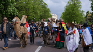 Paris sedia desfile pol&ecirc;mico de camel&iacute;deos de todo o mundo