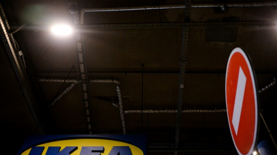 Ikea, frenada por la inflaci&oacute;n y el cese de su actividad en Rusia