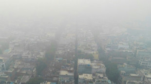 Pollution de l'air : fermeture de toutes les &eacute;coles primaires &agrave; New Delhi