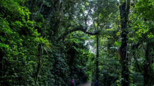 Le changement climatique dissipe "la for&ecirc;t des nuages" au Costa Rica