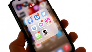 Europas gr&ouml;&szlig;tes Vorkommen Seltener Erden in Schweden entdeckt