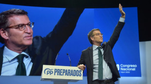 Espagne: la droite se dote d'un nouveau chef pour gagner les prochaines &eacute;lections