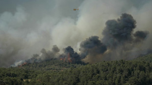 Aude: un bless&eacute; grave dans un violent incendie, 4.000 hectares parcourus