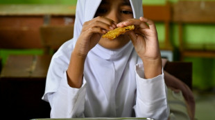 Indonesia trims meals programme: what next?