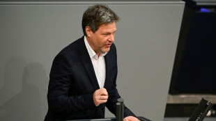 Habeck reist zu Gespr&auml;chen &uuml;ber Energiesicherheit nach Katar und in die Emirate