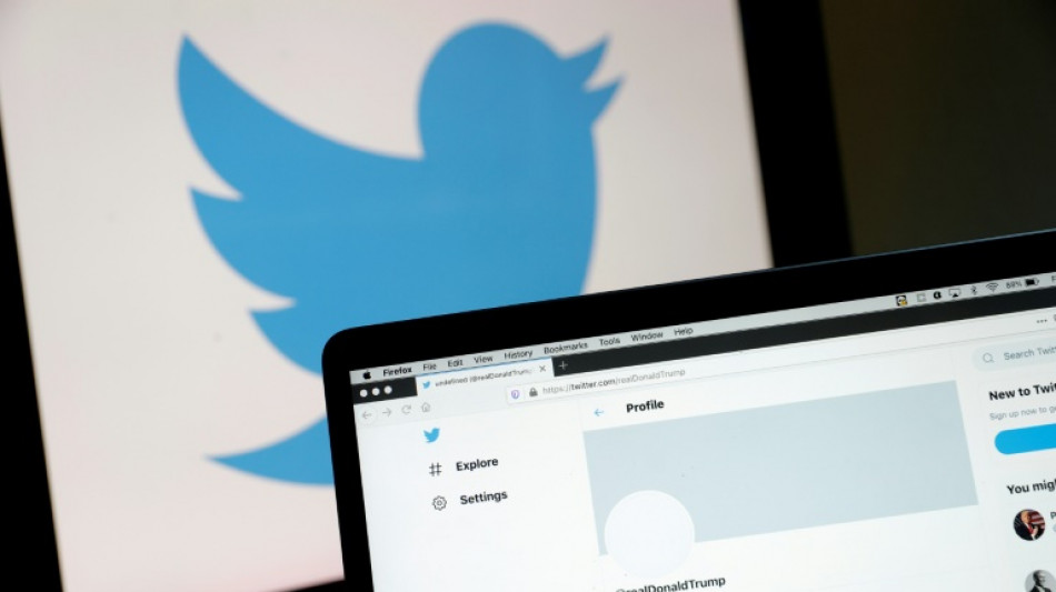 Elon Musk verk&uuml;ndet "Generalamnestie" f&uuml;r gesperrte Twitter-Konten