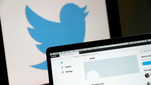 Elon Musk verk&uuml;ndet "Generalamnestie" f&uuml;r gesperrte Konten auf Twitter