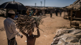 Refugiados rohingyas depositam suas esperan&ccedil;as em Bangladesh para voltarem para casa