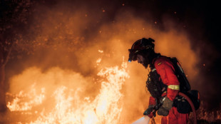 Incendios envuelven Madrid y obligan a evacuar a miles en Francia y Espa&ntilde;a