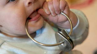 Les b&eacute;b&eacute;s distinguent d'abord le vivant pour comprendre le monde