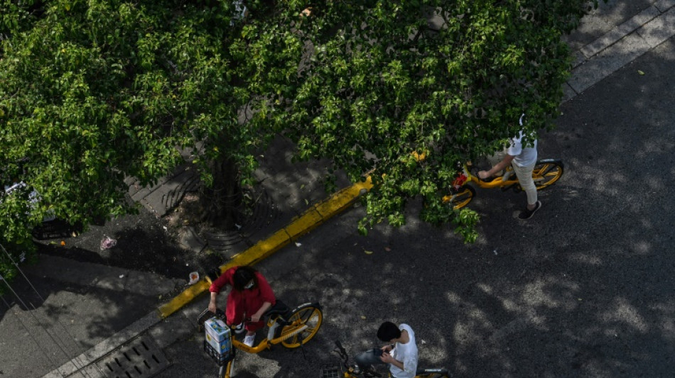 La AIE revisa a la baja la demanda mundial de petr&oacute;leo por los confinamientos en China