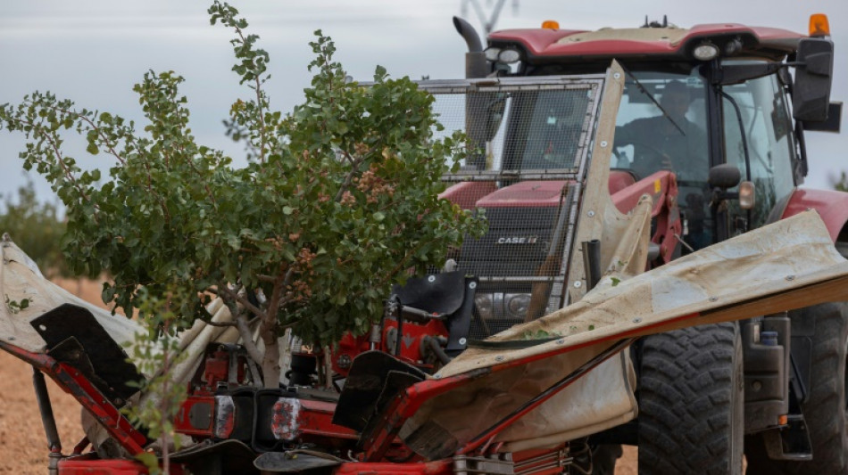 La inflaci&oacute;n en Espa&ntilde;a vuelve a subir en diciembre, al 2,8% interanual
