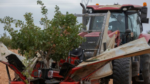 La inflaci&oacute;n en Espa&ntilde;a vuelve a subir en diciembre, al 2,8% interanual