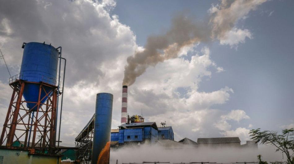 Cuba registra escu&aacute;lida cosecha de az&uacute;car, con s&oacute;lo la mitad de lo previsto