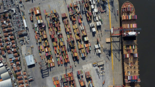 Las importaciones de Argentina en jaque por falta de d&oacute;lares