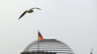 Ampel-Fraktionen und Union fordern gemeinsam mehr Unterst&uuml;tzung f&uuml;r Ukraine