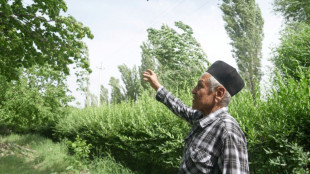 Au Tadjikistan, la capitale centrasiatique de l'abricot face &agrave; la crise climatique