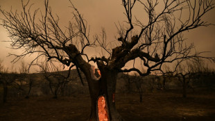 D&uuml;stere Expertenwarnung in Hamburg: Klimawandel "in gro&szlig;en Teilen ungebremst"