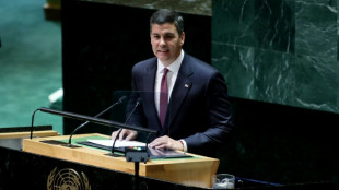 Paraguay leader calls for Taiwan to return to UN