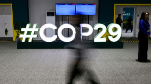 El final amargo de la COP29 deja presagiar dificultades para la ambici&oacute;n clim&aacute;tica