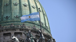La polic&iacute;a espa&ntilde;ola detiene a una ex jueza argentina involucrada en el caso de una red irregular de adopciones