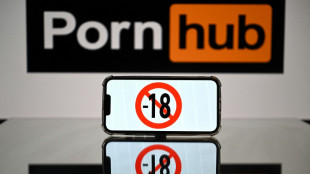 Sites pornos: Youporn et Pornhub vont contester l'obligation de v&eacute;rification d'&acirc;ge
