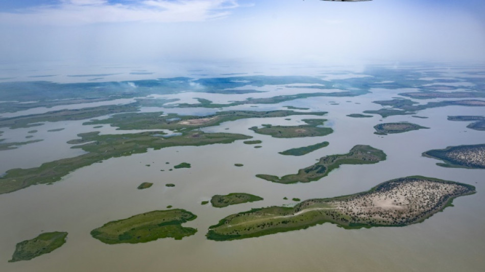 Boko Haram denies Nigerien army claim to have killed leader